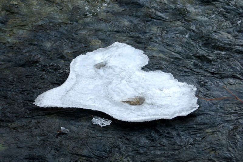Ice heart in the creek